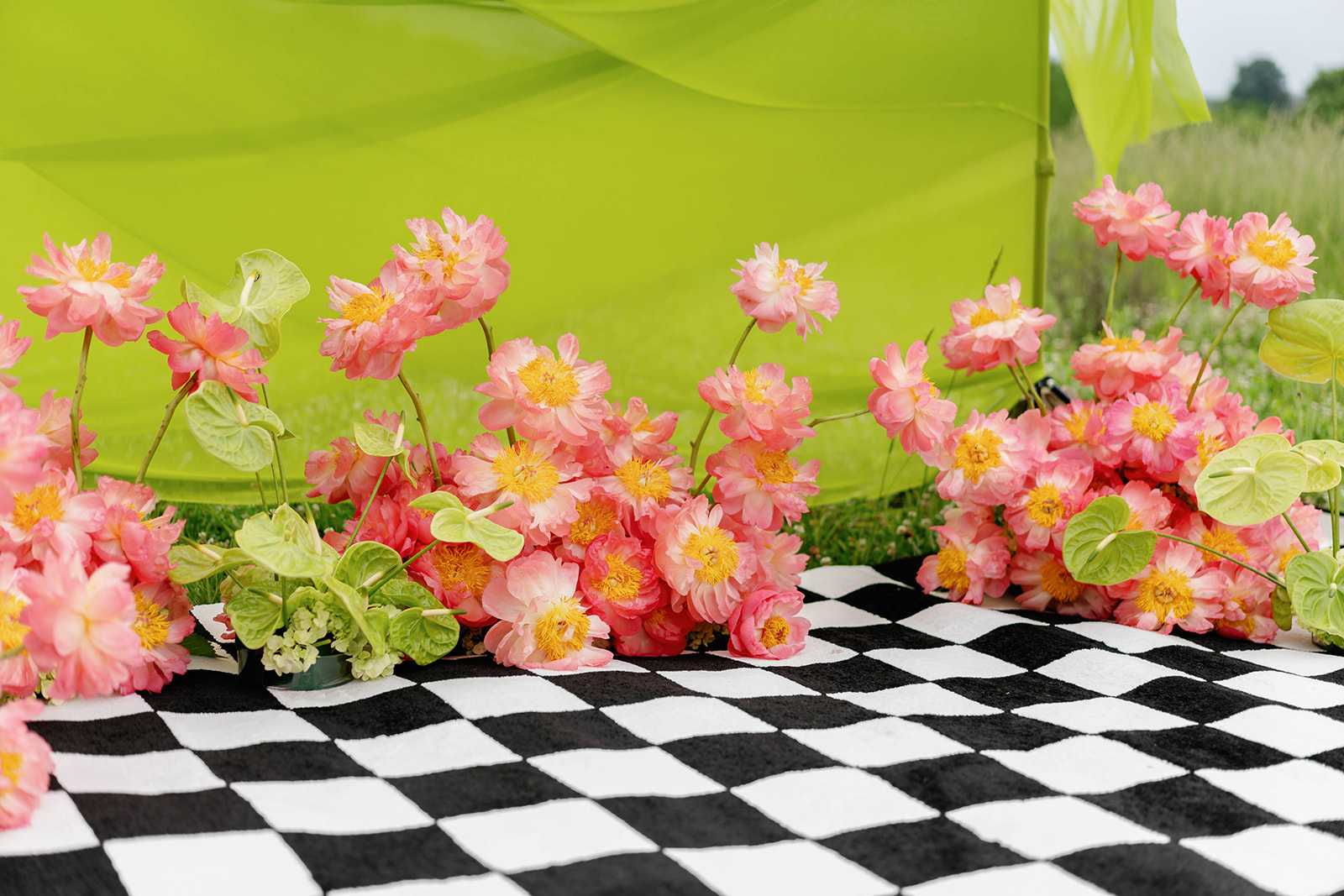 Pink flowers with a green backdrop in a field